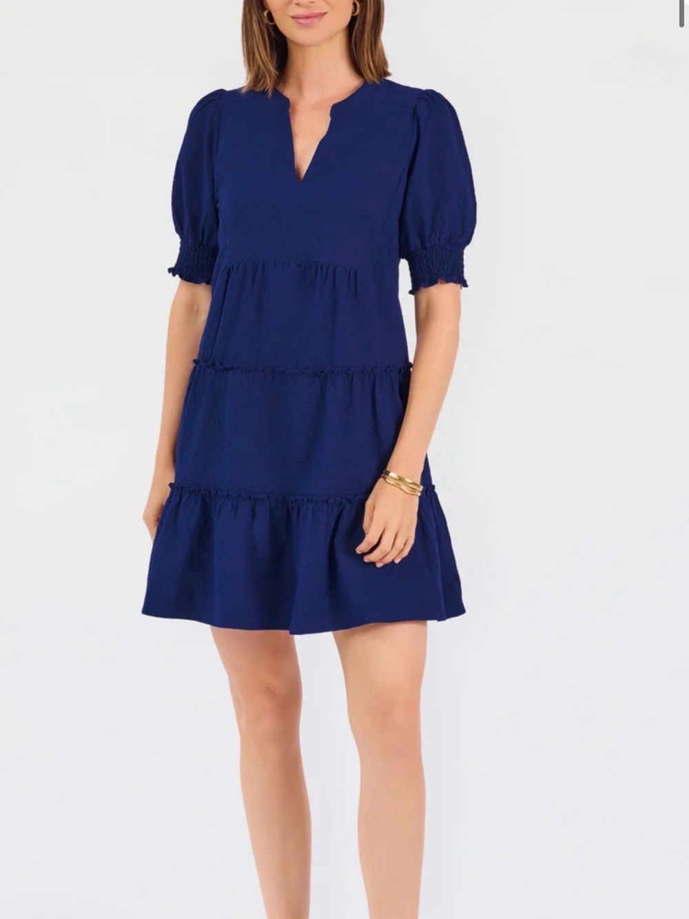 Mary Square Emerson Short Sleeve Dress Navy Seersucker New